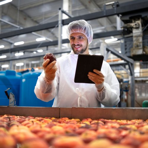 Percorso formativo online HACCP – Aggiornamento per l’Industria Alimentare