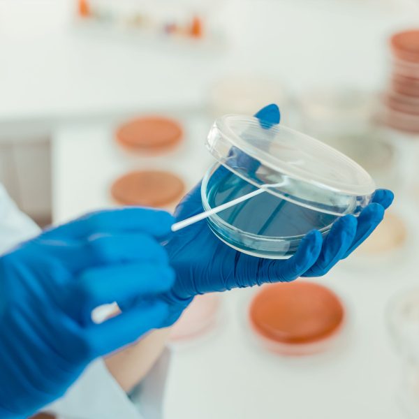 Kit HACCP completo - analisi delle superfici, manuale stampato e formazione